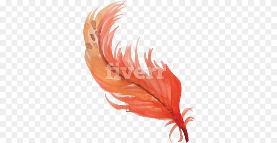 Illustration 504, Leaf, Plant, Person Png