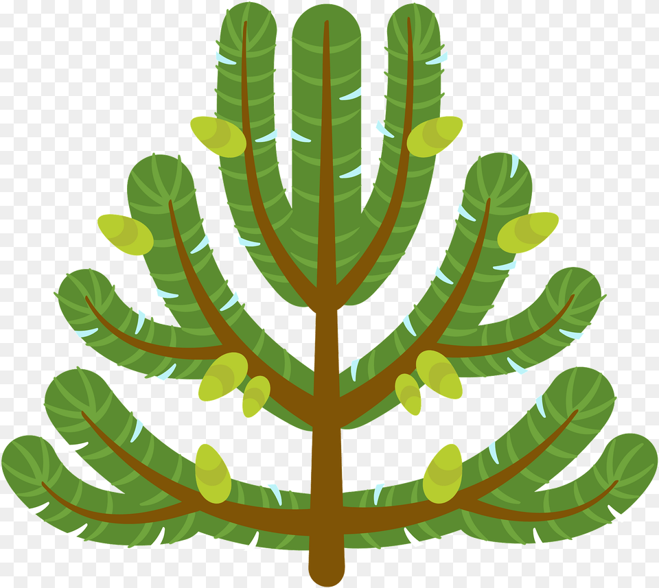 Illustration, Leaf, Plant, Vegetation, Tree Png Image