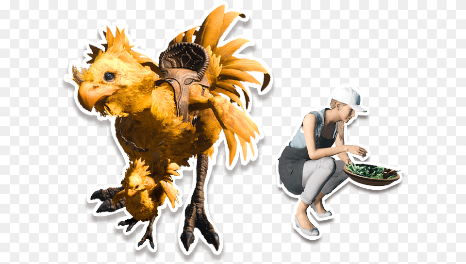 Illustration, Animal, Poultry, Person, Girl Free Png Download
