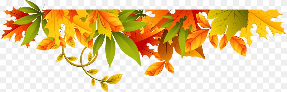 Illustration, Leaf, Plant, Tree Png Image