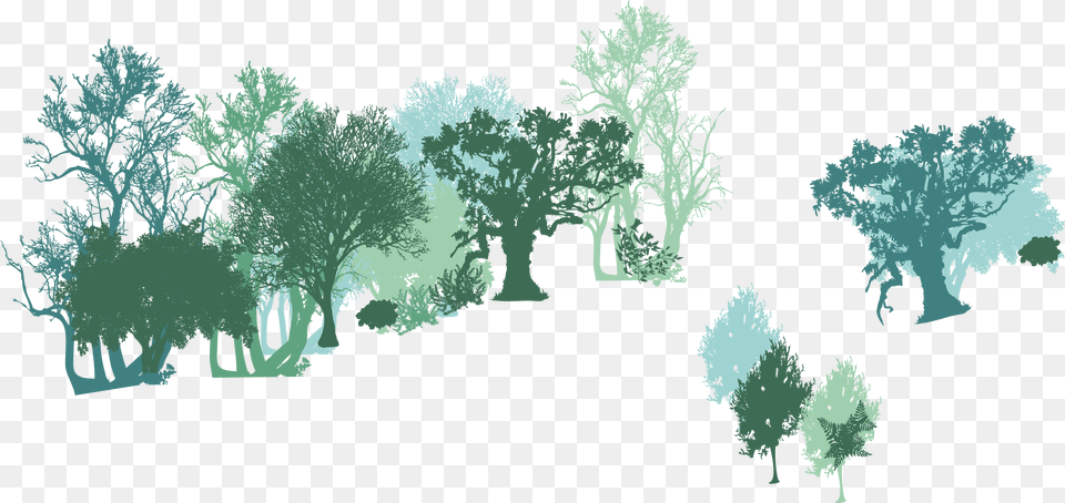 Illustration, Vegetation, Tree, Plant, Art Free Transparent Png