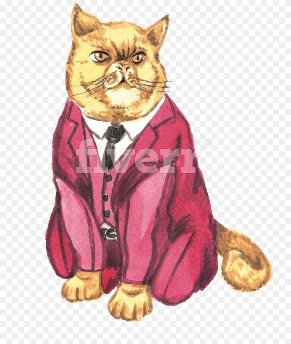 Illustration, Clothing, Coat, Animal, Cat Free Png
