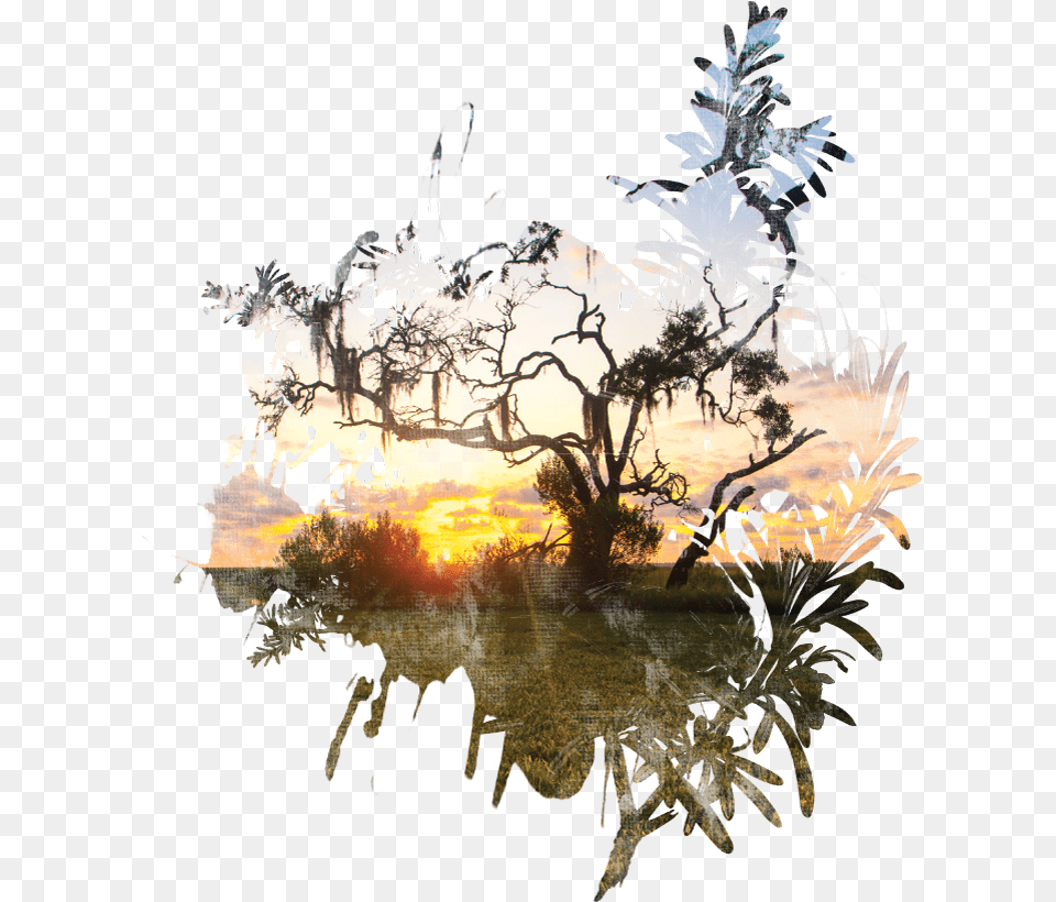 Illustration, Flare, Sunset, Light, Nature Free Transparent Png