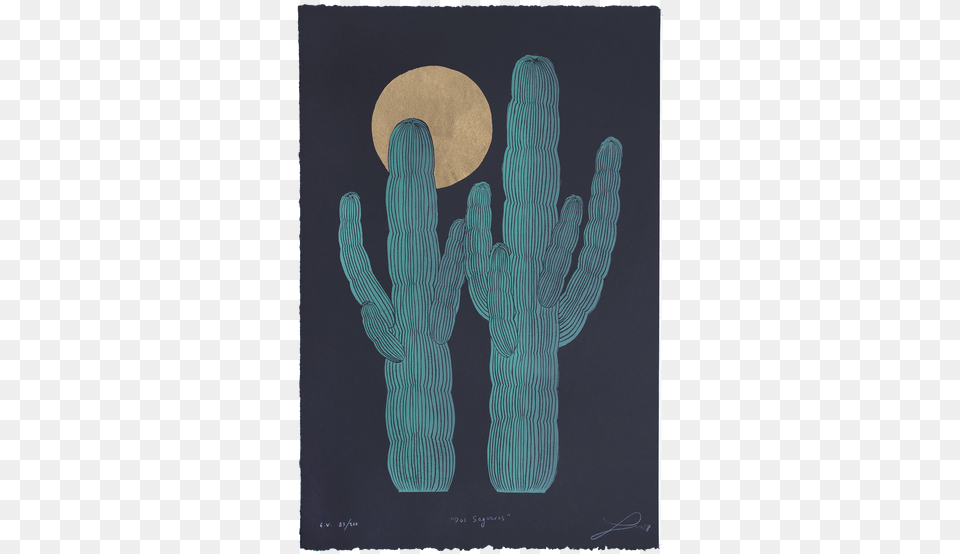 Illustration, Cactus, Plant, Person Png Image