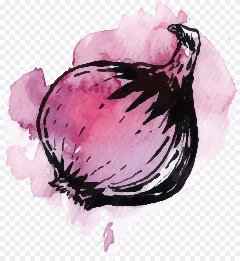 Illustration, Food, Produce, Onion, Plant Free Png