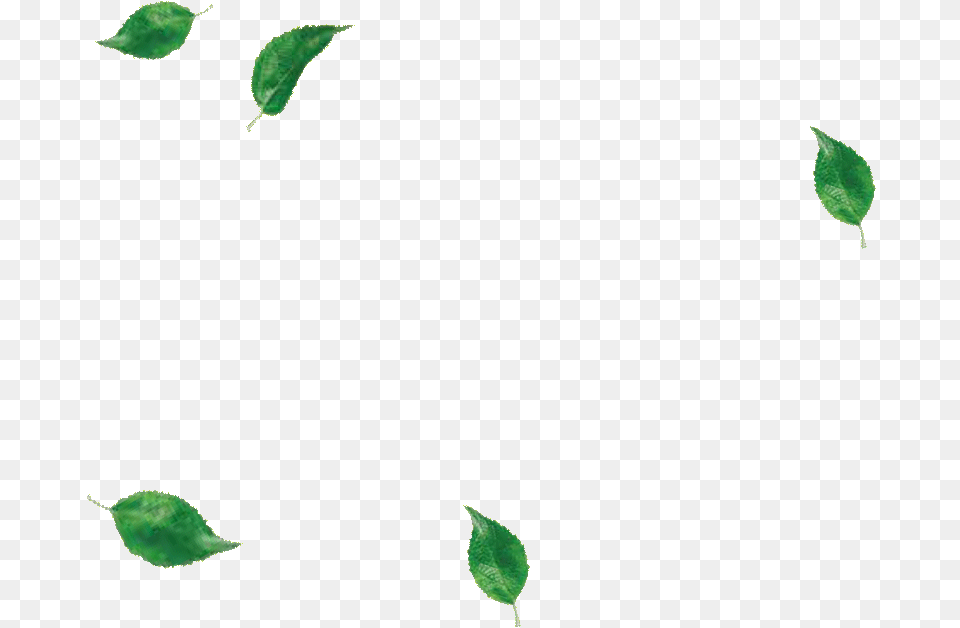 Illustration, Green, Leaf, Plant Free Png Download