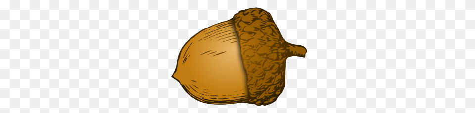 Illustration Acorn, Food, Nut, Plant, Produce Free Transparent Png