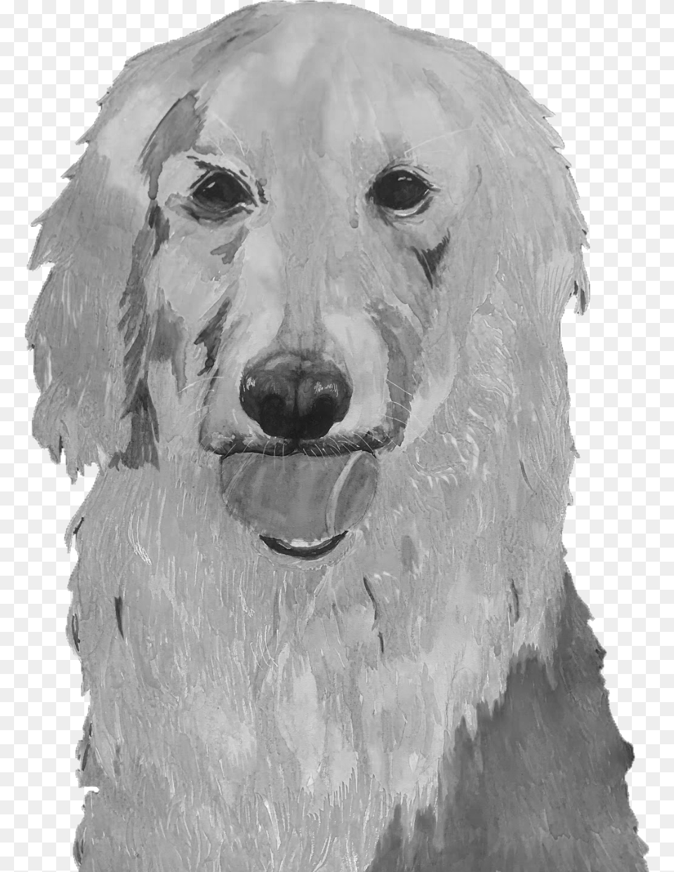 Illustration By Janiece Maddox, Animal, Art, White Dog, Canine Free Png Download