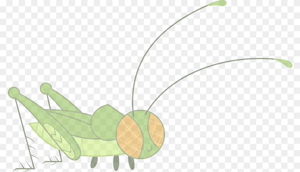 Illustration Clipart Illustration, Animal, Invertebrate, Insect, Grasshopper Free Png