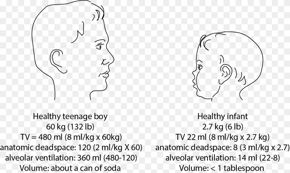 Illustration Comparing Dead Space And Tidal Volume Infant, Head, Person, Advertisement, Face Free Transparent Png