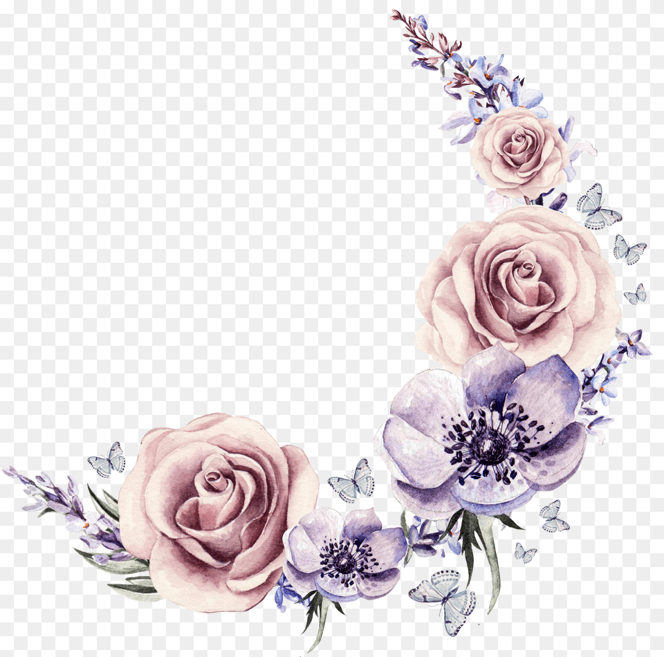 Illustration Drawing Watercolor Transparent Frame Flower Border Png Image