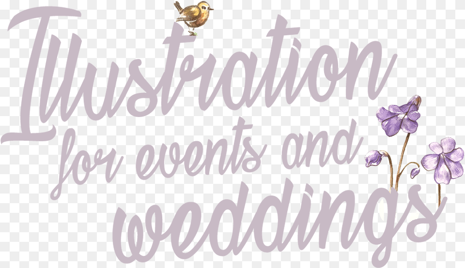 Illustration For Weddings And Events Lavender, People, Person, Animal, Bird Png