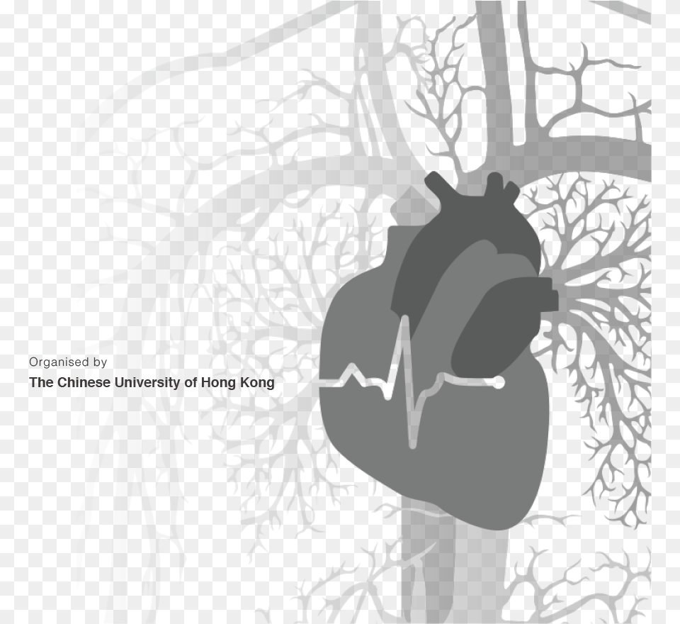 Illustration Heart Failure, Ct Scan, Face, Head, Person Png