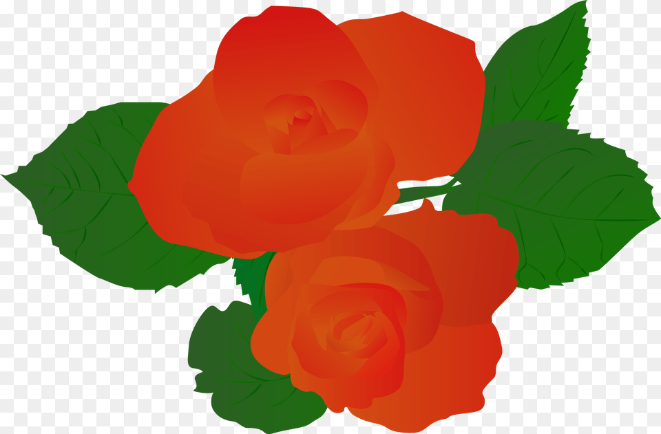 Illustration Illustrator Plant Rose Hand Drawn Red Illustration, Flower, Petal, Person Free Transparent Png