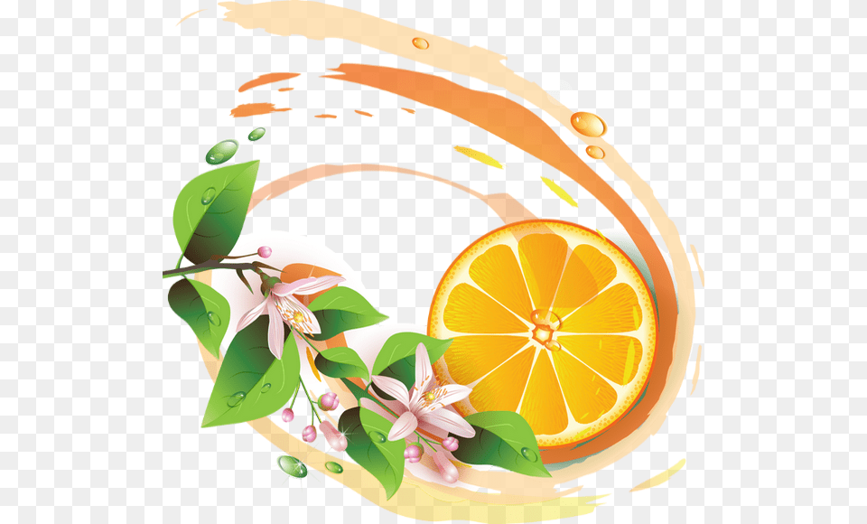 Illustration Lemon Fresh Background, Citrus Fruit, Food, Fruit, Grapefruit Png