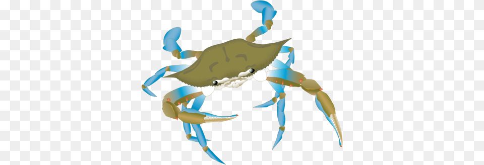 Illustration Of A Blue Crab, Animal, Food, Invertebrate, Sea Life Free Png Download