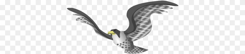 Illustration Of A Falcon Bald Eagle, Animal, Beak, Bird, Flying Png