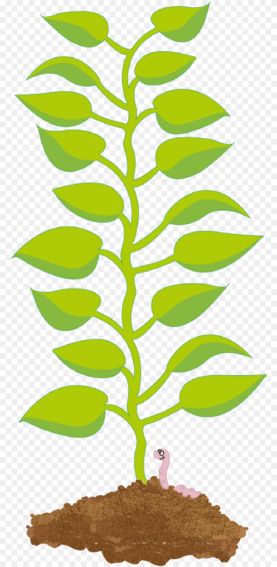 Illustration Of A Potato Plant S Leaves Growing From Clipart Potato Leaf, Soil, Sprout, Flower, Herbal Free Transparent Png