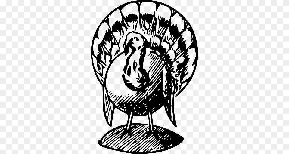 Illustration Of A Turkey For Thanksgiving, Animal, Bird, Fowl, Poultry Free Transparent Png