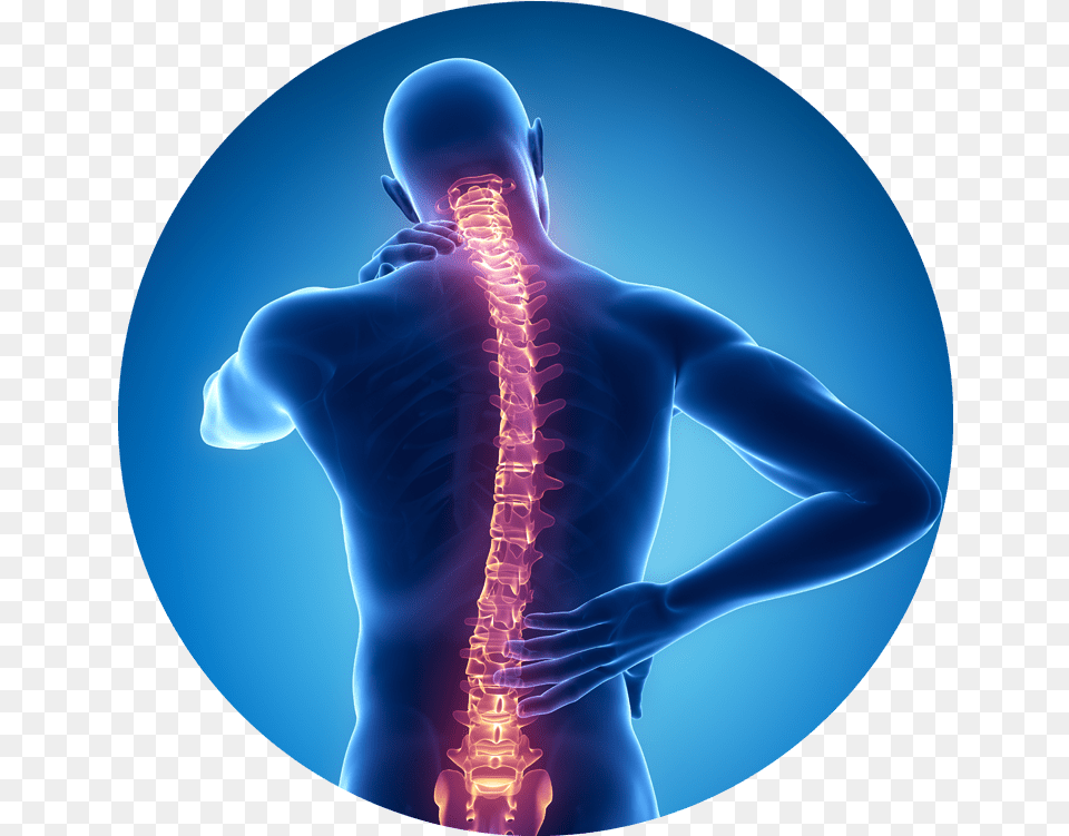 Illustration Of Back In Blue With Spine Spine, Adult, Female, Person, Woman Free Transparent Png