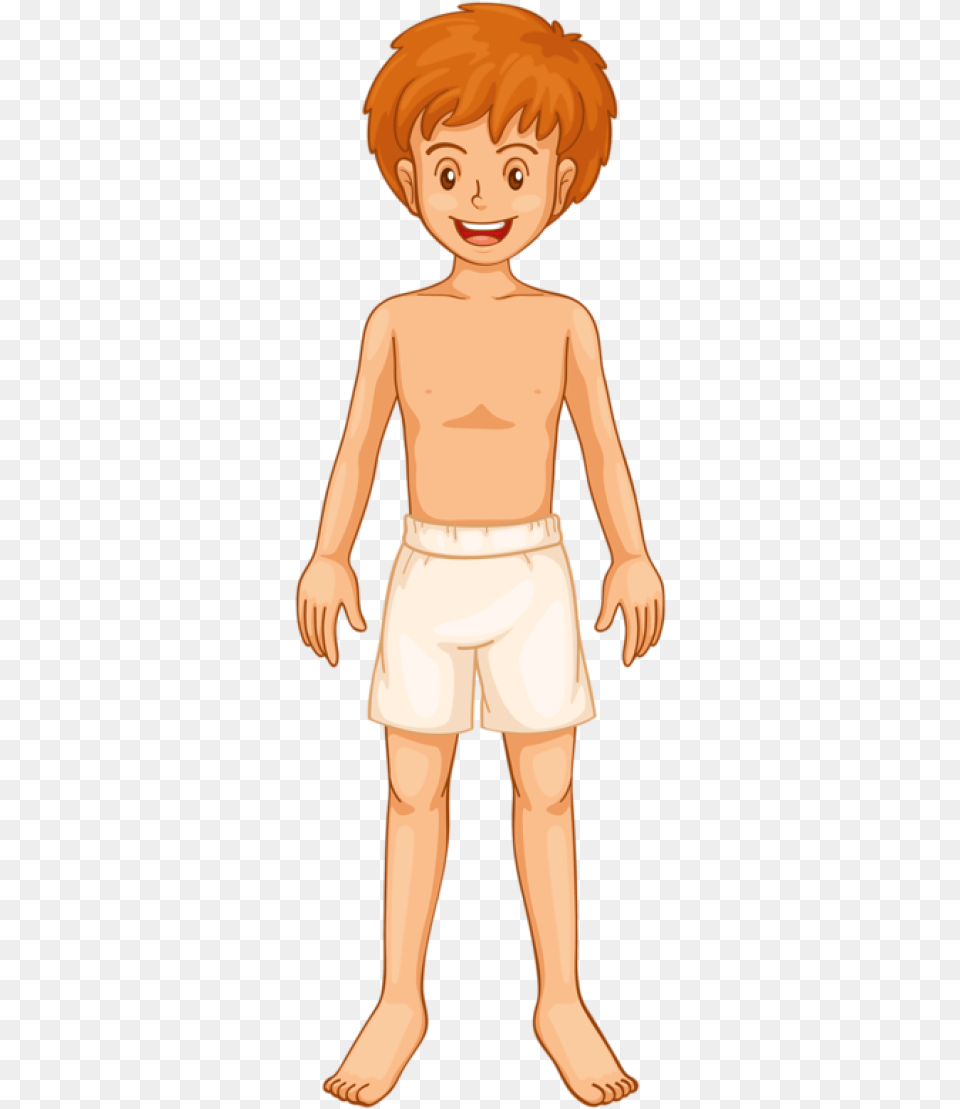 Illustration Of Body Parts, Clothing, Shorts, Boy, Child Free Png Download
