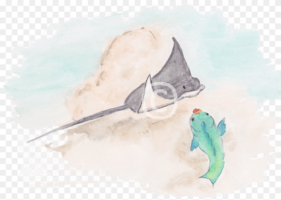 Illustration Of Eagle Ray And Parrotfish From The Book Stingray, Animal, Sea Life, Fish, Manta Ray Free Png Download