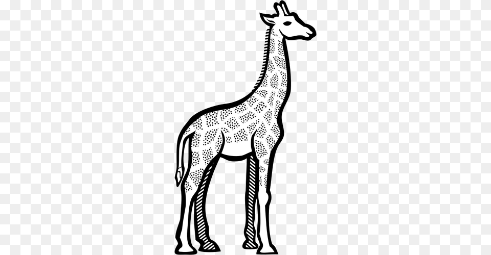 Illustration Of Spotty Giraffe, Animal, Mammal, Wildlife, Kangaroo Free Png Download
