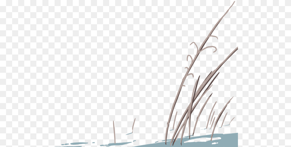 Illustration Of Tall Dead Grass In The Foreground Narrow Body Aircraft, Plant, Reed, Outdoors Free Png Download