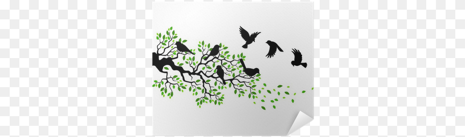 Illustration Of Tree Branch With Bird Silhouette Poster Birds And Branch Wall Decal Style And Apply, Animal, Blackbird Free Png Download