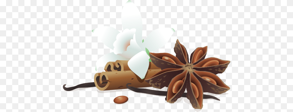 Illustration Of Vanilla Flower Leaning On Two Pieces Plant Based Organic Protein Powder Bs, Anise, Food, Spice, Appliance Free Png Download