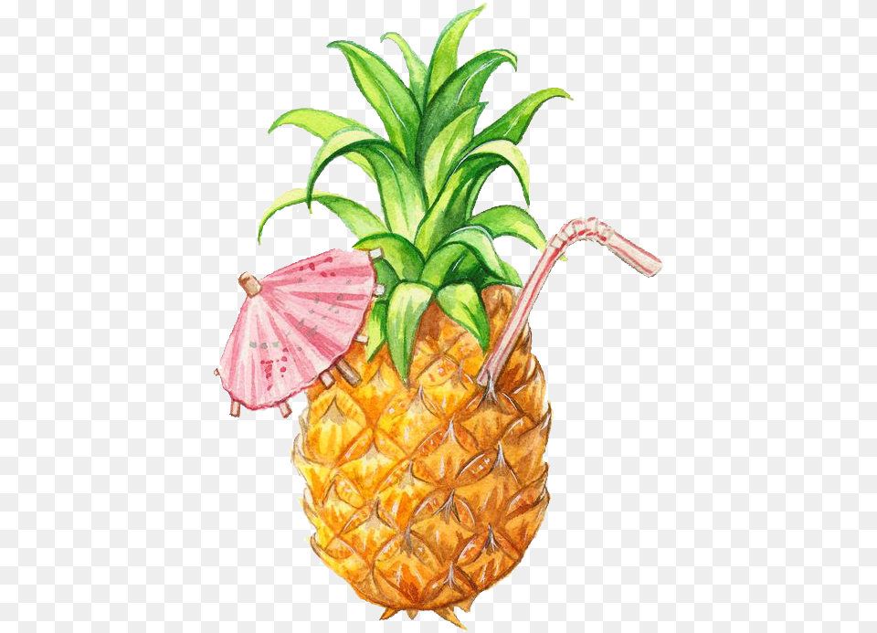 Illustration Pineapple Pineapple Illustration, Food, Fruit, Plant, Produce Free Png Download