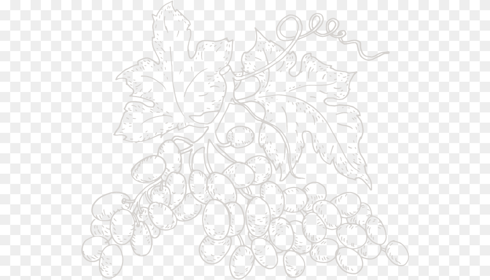 Illustration Raisin Hamet Spay Line Art, Pattern Png Image