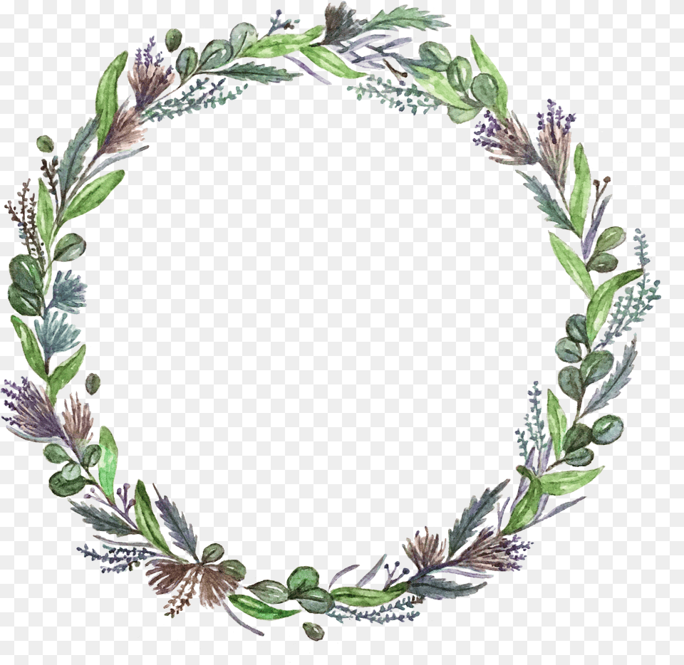 Illustration Wedding Flower Circle, Plant, Oval, Wreath Free Png Download