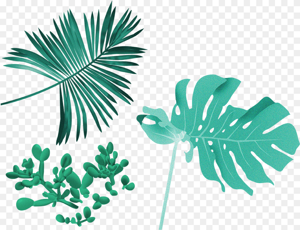 Illustrations For The Film Womens Power To Stop War, Leaf, Plant, Vegetation, Flower Png