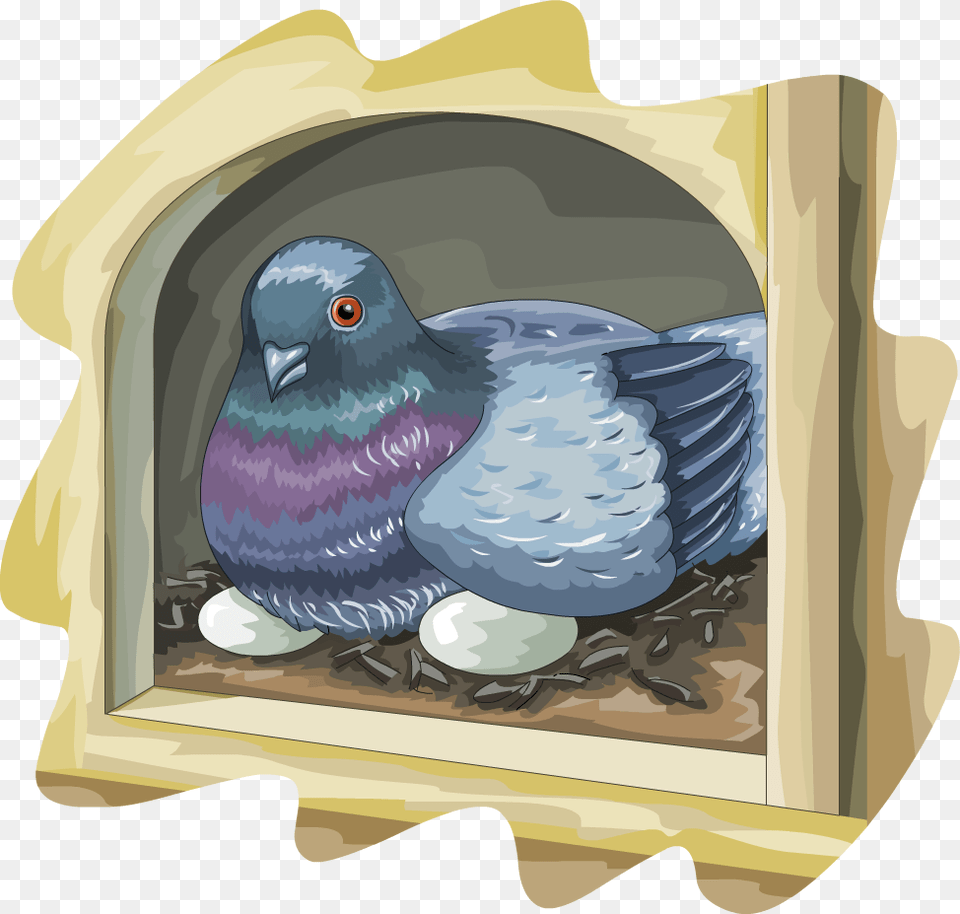 Illustrations Pigeons And Doves, Animal, Bird, Pigeon Free Png Download