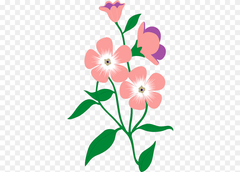 Illustrator Vectors Photos And Psd Files Download Flower Vector Illustrator Petal, Plant, Geranium, Pattern Free Transparent Png