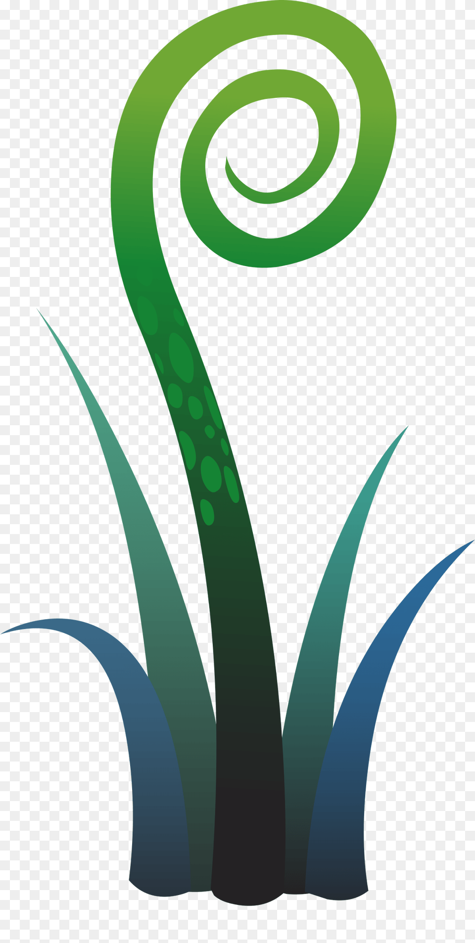 Ilmenskie Plant Fern Icons, Art, Spiral, Graphics, Coil Free Png Download