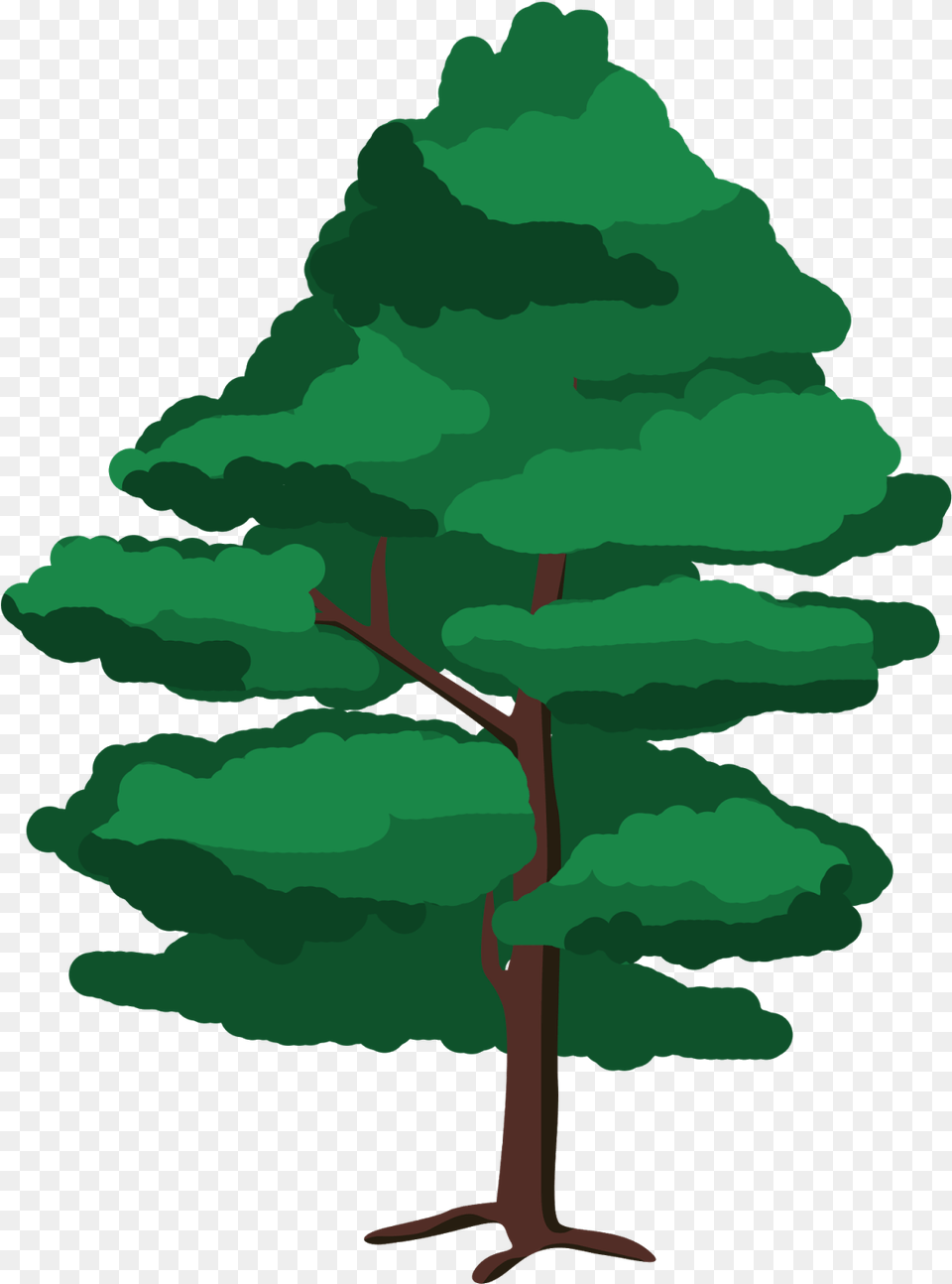 Ilustracin Rbol Red Pine, Plant, Tree, Vegetation, Person Png