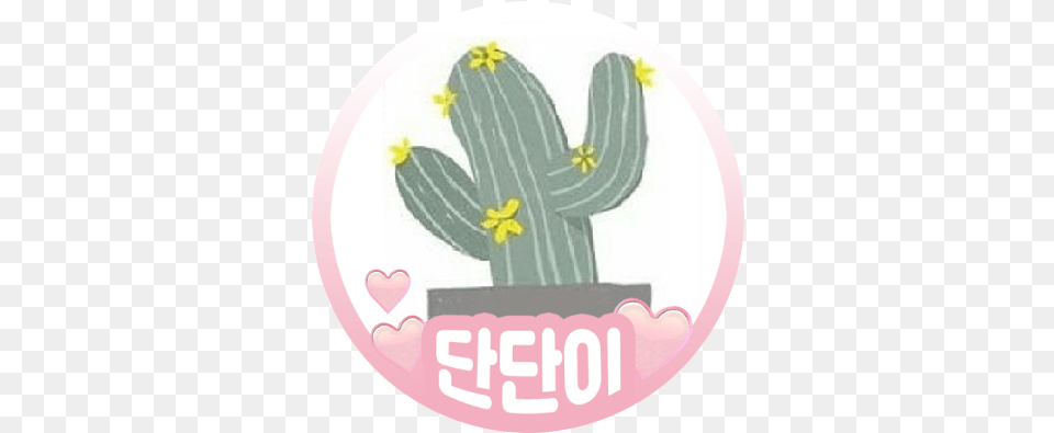 Im So Happy Krystal Jung Hugs Do Vertical, Cactus, Plant, Plate Png