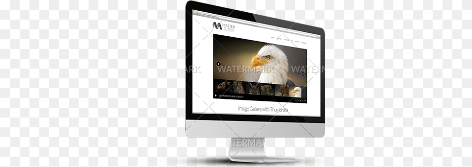 Imac Best Website Hd Slider, Animal, Beak, Bird, Electronics Free Transparent Png