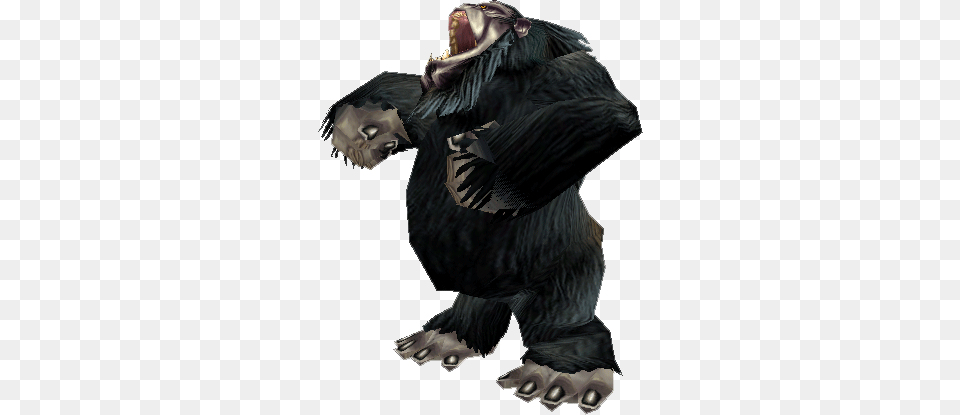 Image, Animal, Ape, Mammal, Wildlife Free Png