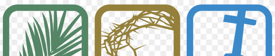 Image, Grass, Plant Png