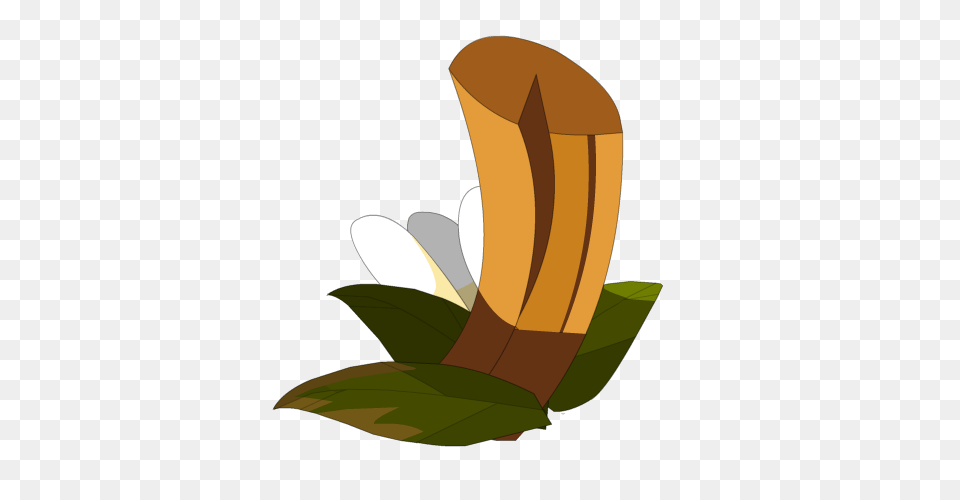 Image, Spoon, Produce, Plant, Fruit Png