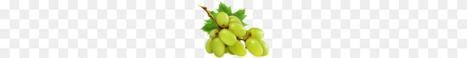 Image, Plant, Food, Fruit, Grapes Free Transparent Png