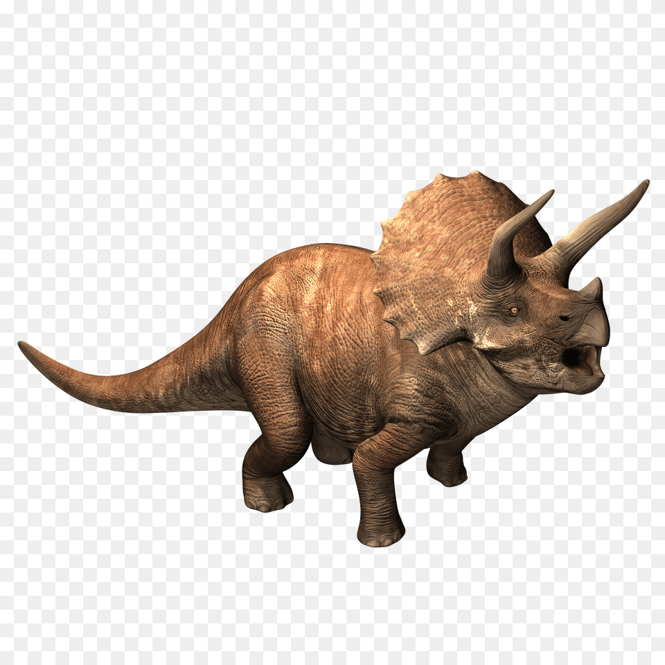 Animal, Dinosaur, Reptile Png Image