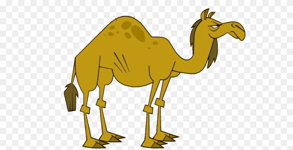 Image, Animal, Camel, Mammal, Antelope Free Transparent Png