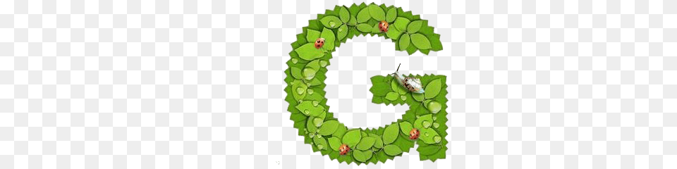Image, Green, Leaf, Plant, Wreath Free Transparent Png