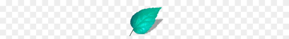 Image, Leaf, Plant Png