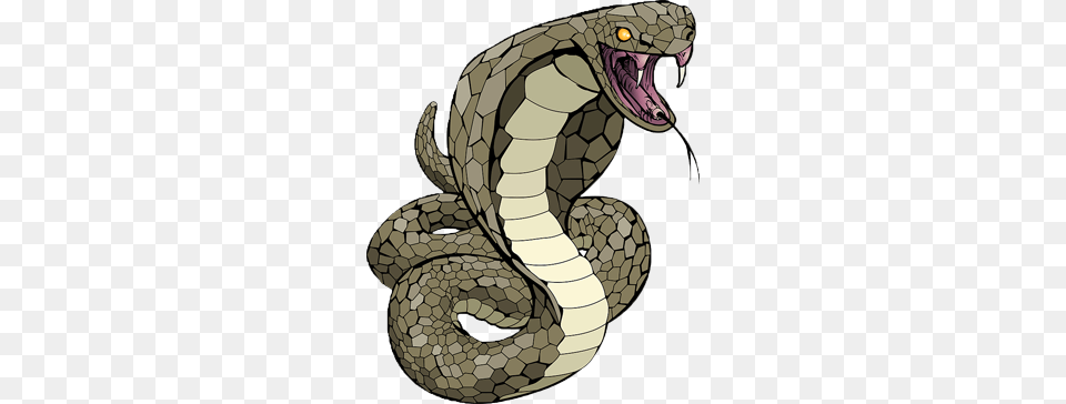 Image, Animal, Reptile, Cobra, Snake Free Png
