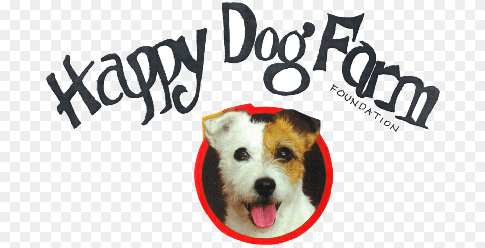 Image, Animal, Canine, Dog, Mammal Free Png